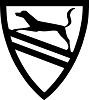 sap-ias-tenant-dev-awxduzr1o logo